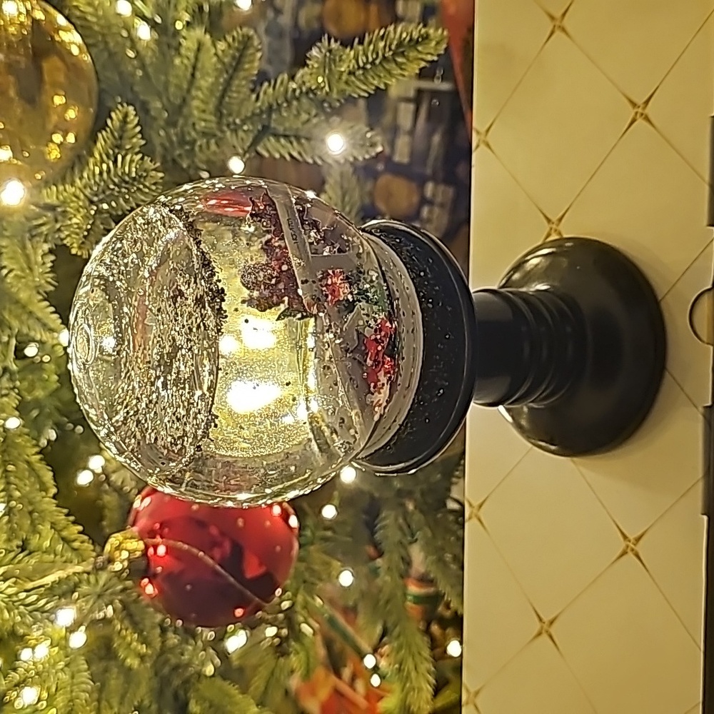 Star Trek DIY Snowglobe